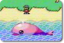 item_kujira.jpg